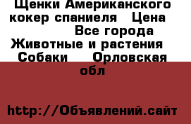 Щенки Американского кокер спаниеля › Цена ­ 15 000 - Все города Животные и растения » Собаки   . Орловская обл.
